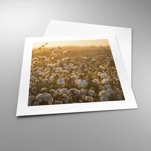 Poster - Fluffiges Feld - 40x40 cm