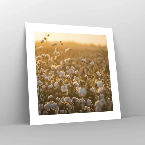 Poster - Fluffiges Feld - 40x40 cm