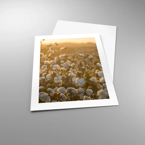 Poster - Fluffiges Feld - 40x50 cm