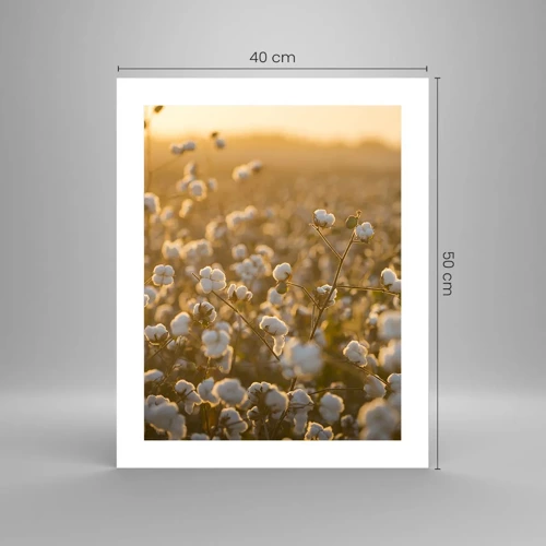 Poster - Fluffiges Feld - 40x50 cm