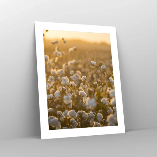 Poster - Fluffiges Feld - 40x50 cm