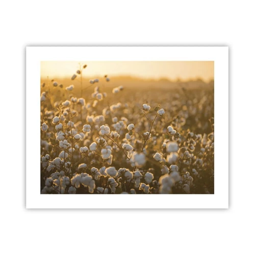 Poster - Fluffiges Feld - 50x40 cm