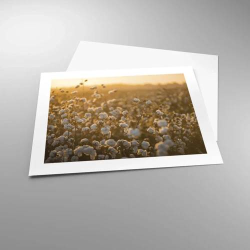 Poster - Fluffiges Feld - 50x40 cm