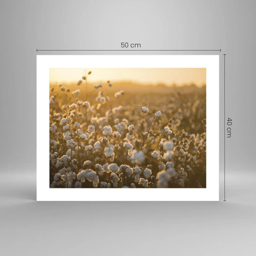 Poster - Fluffiges Feld - 50x40 cm