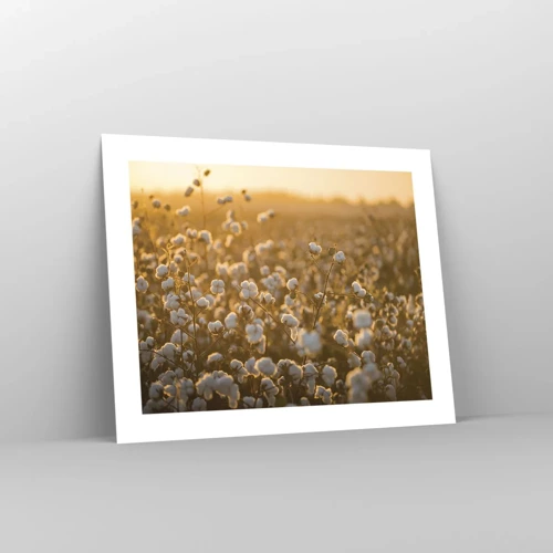 Poster - Fluffiges Feld - 50x40 cm