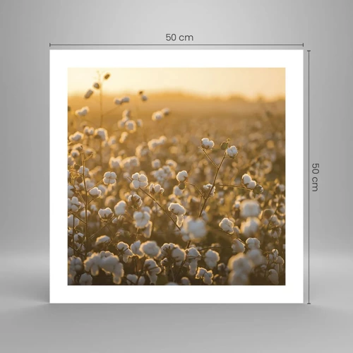 Poster - Fluffiges Feld - 50x50 cm