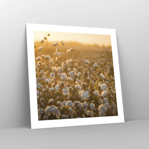 Poster - Fluffiges Feld - 50x50 cm