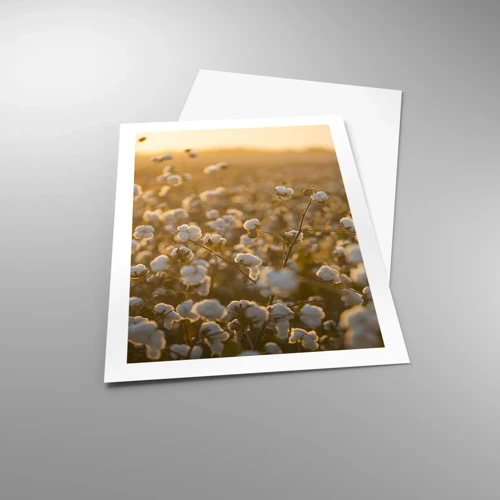 Poster - Fluffiges Feld - 50x70 cm