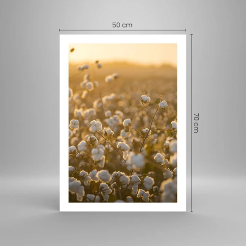 Poster - Fluffiges Feld - 50x70 cm