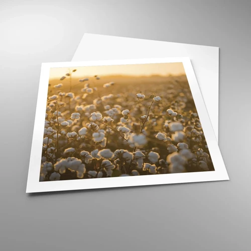 Poster - Fluffiges Feld - 60x60 cm