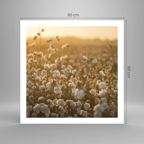 Poster - Fluffiges Feld - 60x60 cm