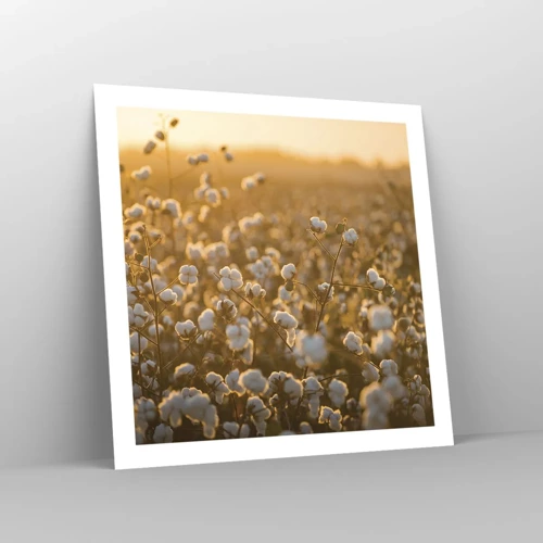 Poster - Fluffiges Feld - 60x60 cm