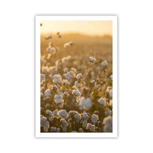 Poster - Fluffiges Feld - 61x91 cm