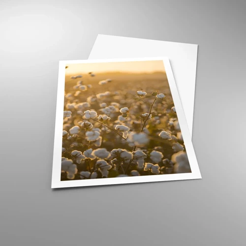 Poster - Fluffiges Feld - 61x91 cm