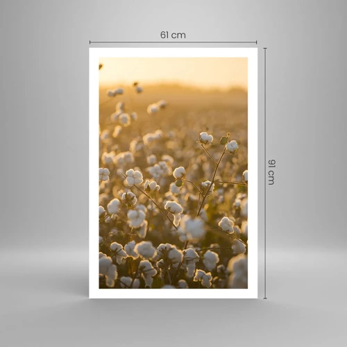 Poster - Fluffiges Feld - 61x91 cm