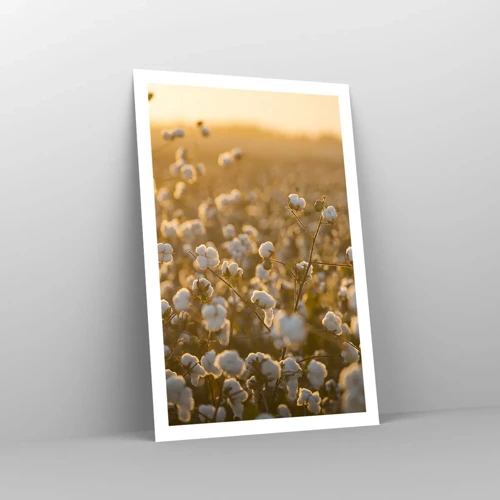 Poster - Fluffiges Feld - 61x91 cm