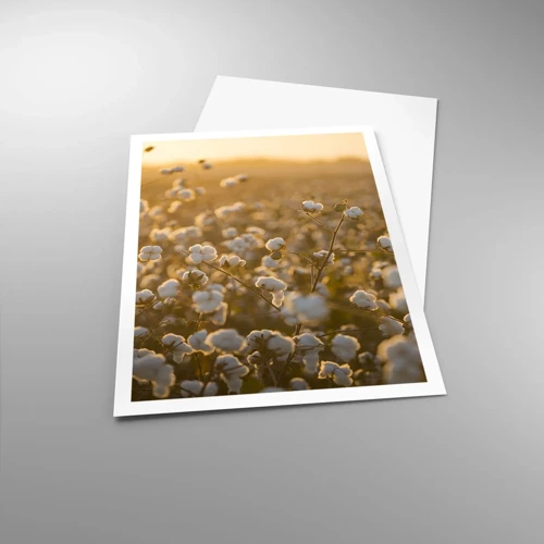 Poster - Fluffiges Feld - 70x100 cm