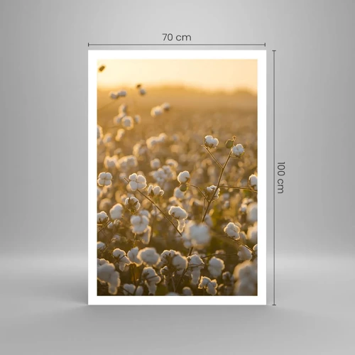 Poster - Fluffiges Feld - 70x100 cm