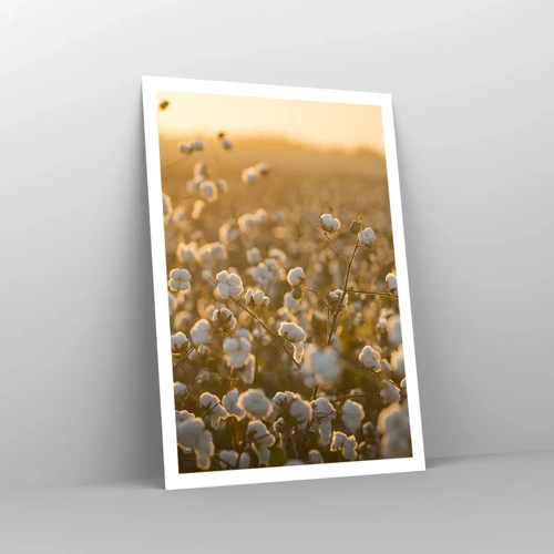 Poster - Fluffiges Feld - 70x100 cm