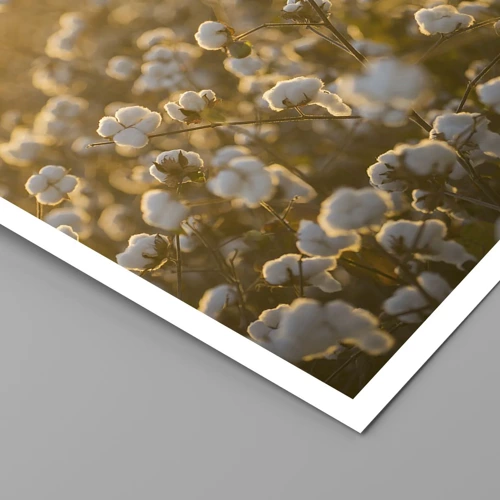 Poster - Fluffiges Feld - 70x100 cm