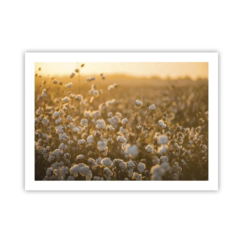 Poster - Fluffiges Feld - 70x50 cm