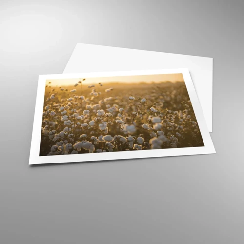 Poster - Fluffiges Feld - 70x50 cm