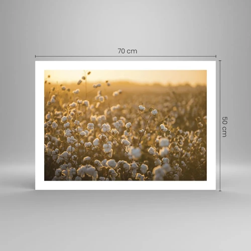 Poster - Fluffiges Feld - 70x50 cm