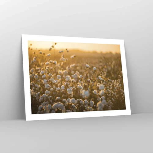 Poster - Fluffiges Feld - 70x50 cm