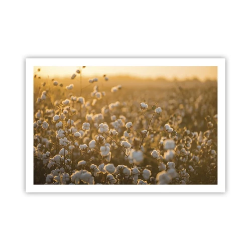 Poster - Fluffiges Feld - 91x61 cm