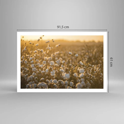 Poster - Fluffiges Feld - 91x61 cm