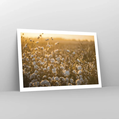 Poster - Fluffiges Feld - 91x61 cm