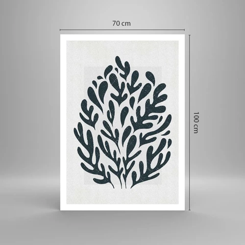 Poster - Formen der Natur - 70x100 cm