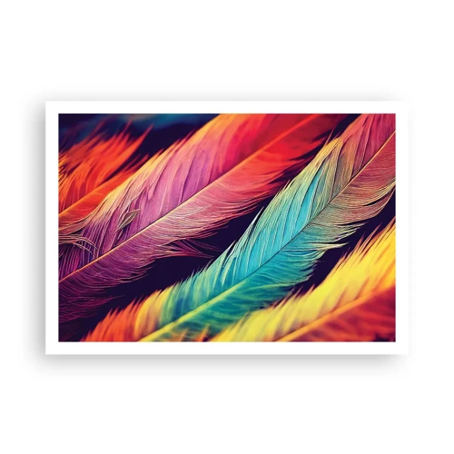 Poster - Gefiederter Regenbogen - 100x70 cm