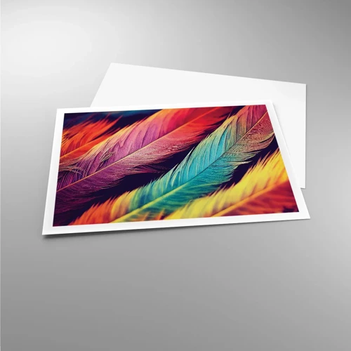 Poster - Gefiederter Regenbogen - 100x70 cm