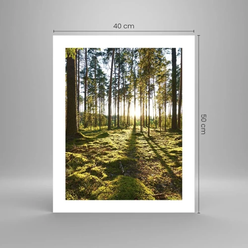 Poster - … Hinter den sieben Wäldern - 40x50 cm