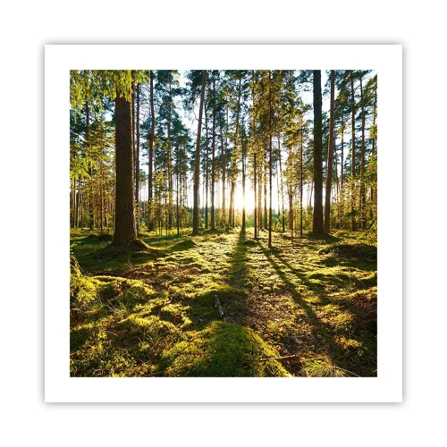 Poster - … Hinter den sieben Wäldern - 50x50 cm