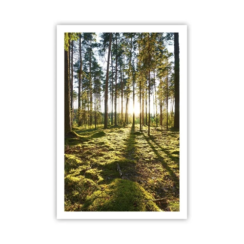 Poster - … Hinter den sieben Wäldern - 61x91 cm