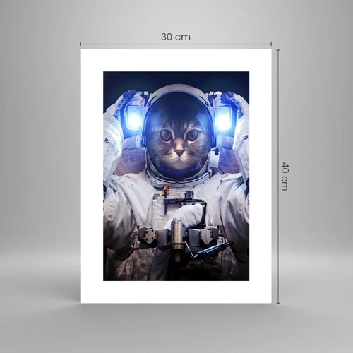 Poster - Houston, du hast ein Problem - 30x40 cm