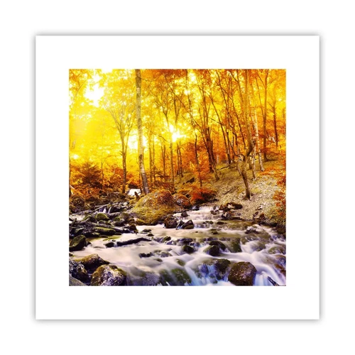 Poster - In Gold und Platin gefasste Steine - 30x30 cm