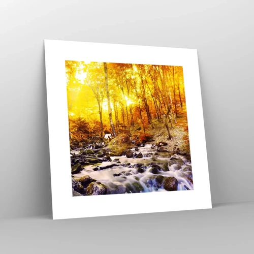 Poster - In Gold und Platin gefasste Steine - 30x30 cm