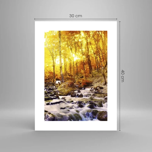 Poster - In Gold und Platin gefasste Steine - 30x40 cm