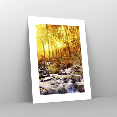 Poster - In Gold und Platin gefasste Steine - 30x40 cm