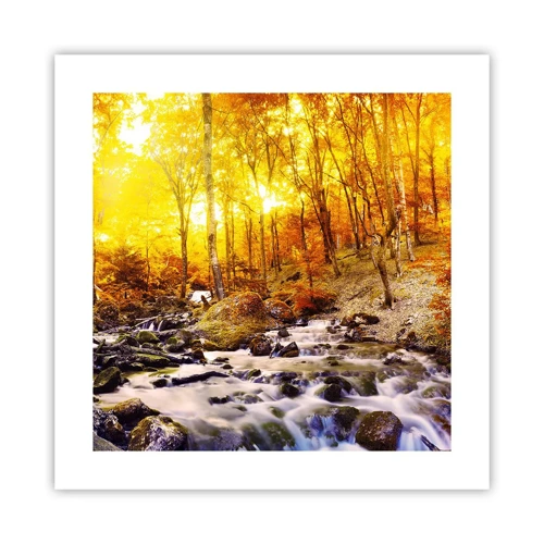 Poster - In Gold und Platin gefasste Steine - 40x40 cm