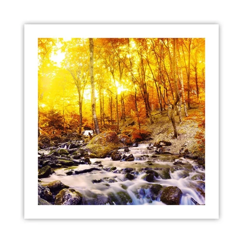 Poster - In Gold und Platin gefasste Steine - 50x50 cm