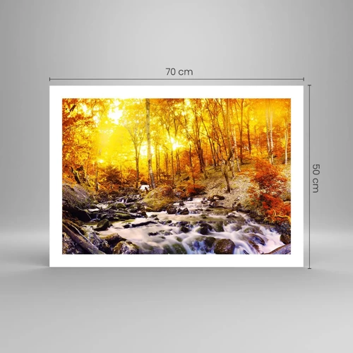 Poster - In Gold und Platin gefasste Steine - 70x50 cm