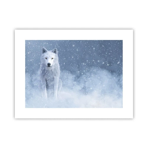 Poster - In Winterstimmung - 40x30 cm