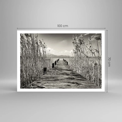 Poster - In der Stille des Grases - 100x70 cm