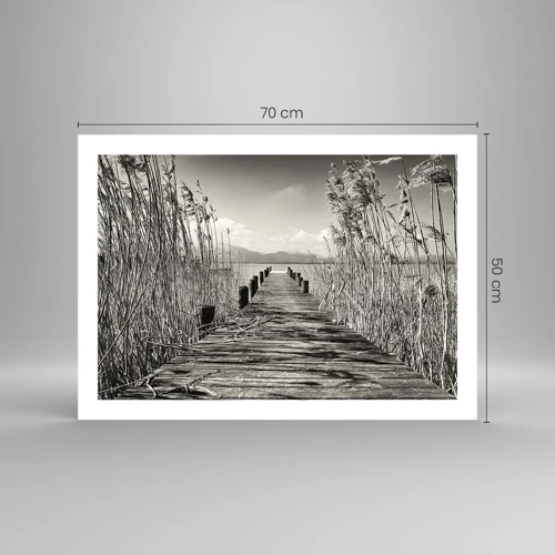 Poster - In der Stille des Grases - 70x50 cm