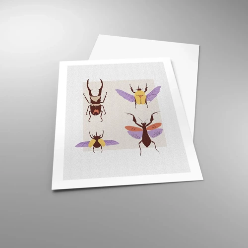 Poster - Insektenwelt - 50x70 cm