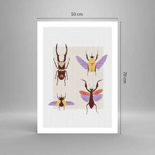 Poster - Insektenwelt - 50x70 cm